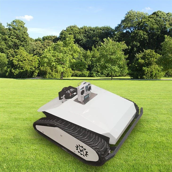 Lithium Lawn Mower